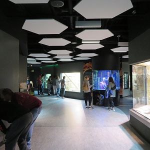 ARC View of Second Room