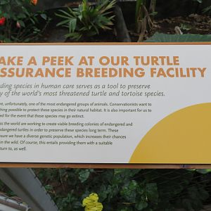 Signage about Zoo's Turtle/Tortoise Breeding