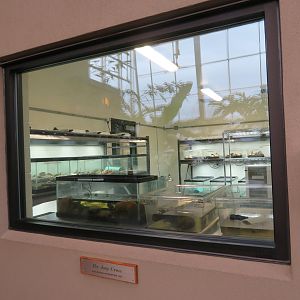 Turtle/Tortoise Breeding Lab
