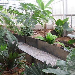 Turtle/Tortoise Greenhouse