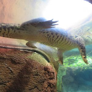 Too Close for Comfort