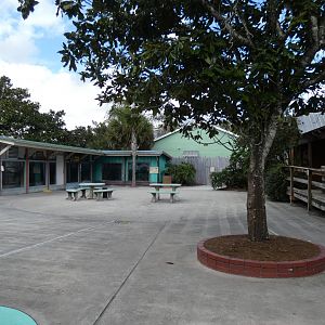 Small Plaza Area for "Panther Springs", "Baby Gator Marsh", and the "Tortoise Encounter" - Jan. 2022