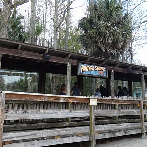 Panther Springs Viewing Area - Jan. 2022