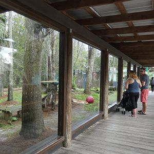 Panther Springs - Jan. 2022