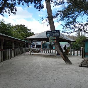 Tortoise Encounter - Jan. 2022