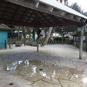 Tortoise Encounter - Jan. 2022