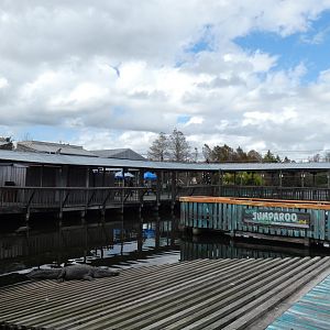 Gator Jumparoo Show - Jan. 2022