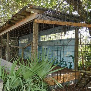 Ol' Owl House - Jan. 2022