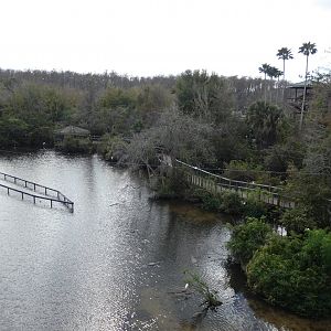 Alligator Breeding Marsh, View from Observation Tower - Jan. 2022