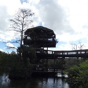 Alligator Breeding Marsh Observation Tower - Jan. 2022