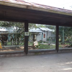 Bobcat Bayou  - Jan. 2022