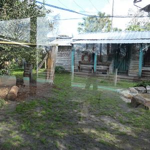 Bobcat Bayou  - Jan. 2022