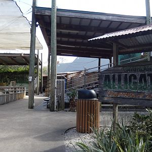 Alligators: Legends of the Swamp  - Jan. 2022