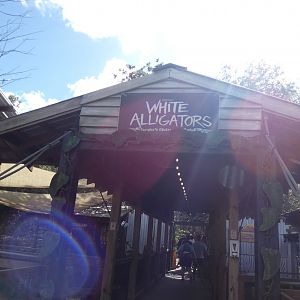 White Alligators - Jan. 2022