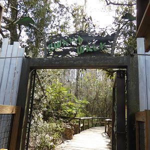 Swamp Walk - Jan. 2022