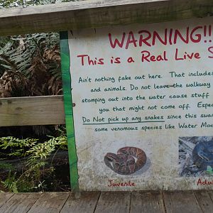 "WARNING, This is a real swamp..." sign, Swamp Walk - Jan. 2022