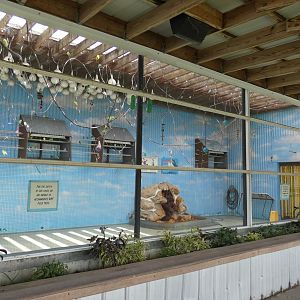 Budgerigars Aviary (Closed) - Jan. 2022