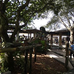 Parrot Exhibit - Jan. 2022