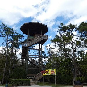 Zip-Line - Jan. 2022