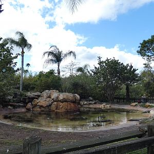 American Alligator Enclosure, Crocs of the World - Jan. 2022