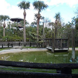 Cuban Crocodile Enclosure, Crocs of the World - Jan. 2022