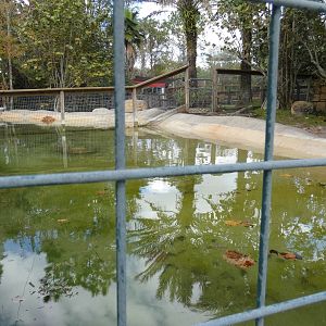 Orinoco Crocodile Enclosure, Crocs of the World - Jan. 2022