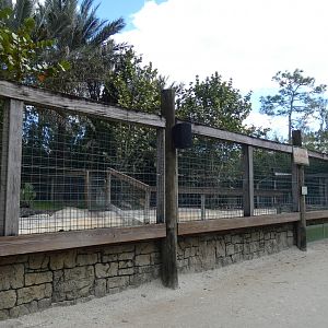 Saltwater + Orinoco Crocodile Enclosures, Crocs of the World - Jan. 2022