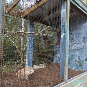 Random Kookaburra Aviary, Crocs of the World - Jan. 2022