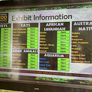 Electronic Noticeboard