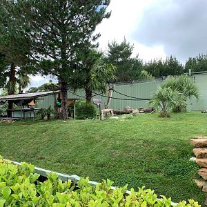 Black-and-white Ruffed Lemur Exhibit
