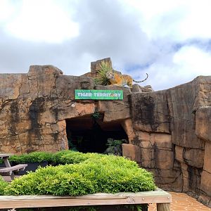 Tiger Territory Entrance