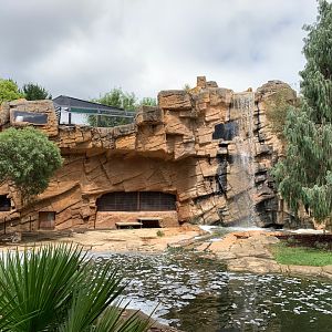 Tiger Territory Big Enclosure