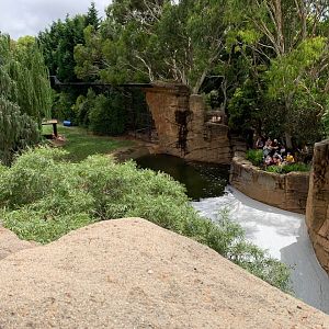 Big Tiger Territory Exhibit