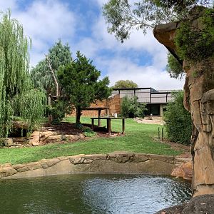 Tiger Territory Big Exhibit