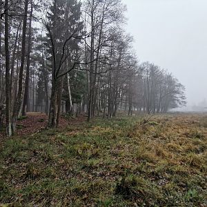 Moose & roe deer enclosure (2)