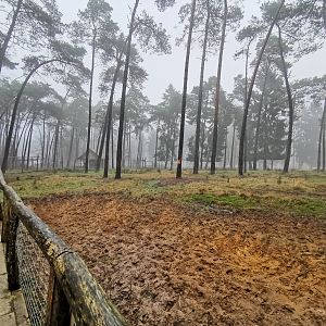 Moose & roe deer enclosure (1)