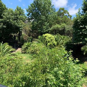 Tiger Wetlands Enclosure (Right side)