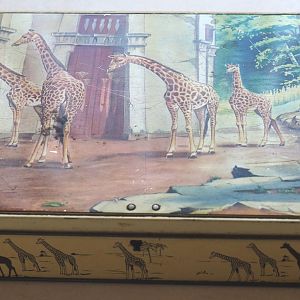 Old tin box with design inspired by Zoo Antwerpen