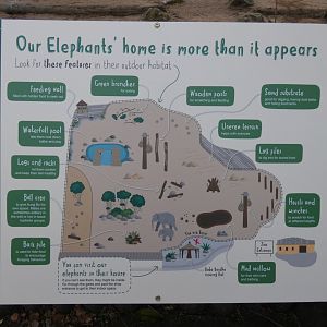 Map of Asian elephant outdoor enclosure