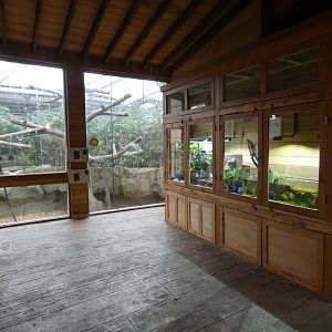 Monsoon forest orang-utan viewing areas