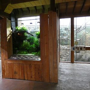 Monsoon forest fish tank