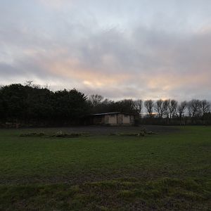 Sitatunga paddock at sunset