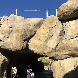 Rhino Savanna Bridge