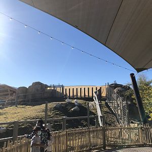 Rhino Bridge Blocked Off