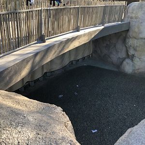 One of Two Times the Path goes over the Exhibit