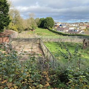 View towards Bactrian camel enclosure 201121