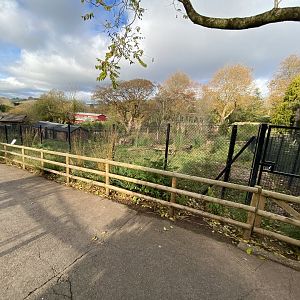 Maned wolf enclosure 201121
