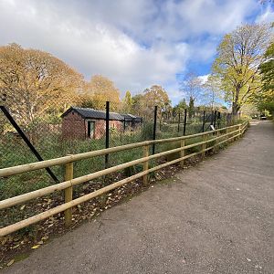 Maned wolf enclosure 201121