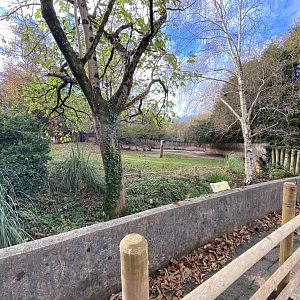 Eastern black rhinoceros enclosure 201121