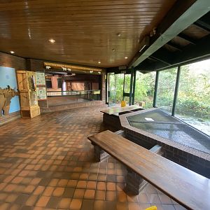 Eastern black rhinoceros indoors 201121